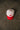 Rookie cap - Red (COMING SOON)