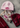 Nomad beanie