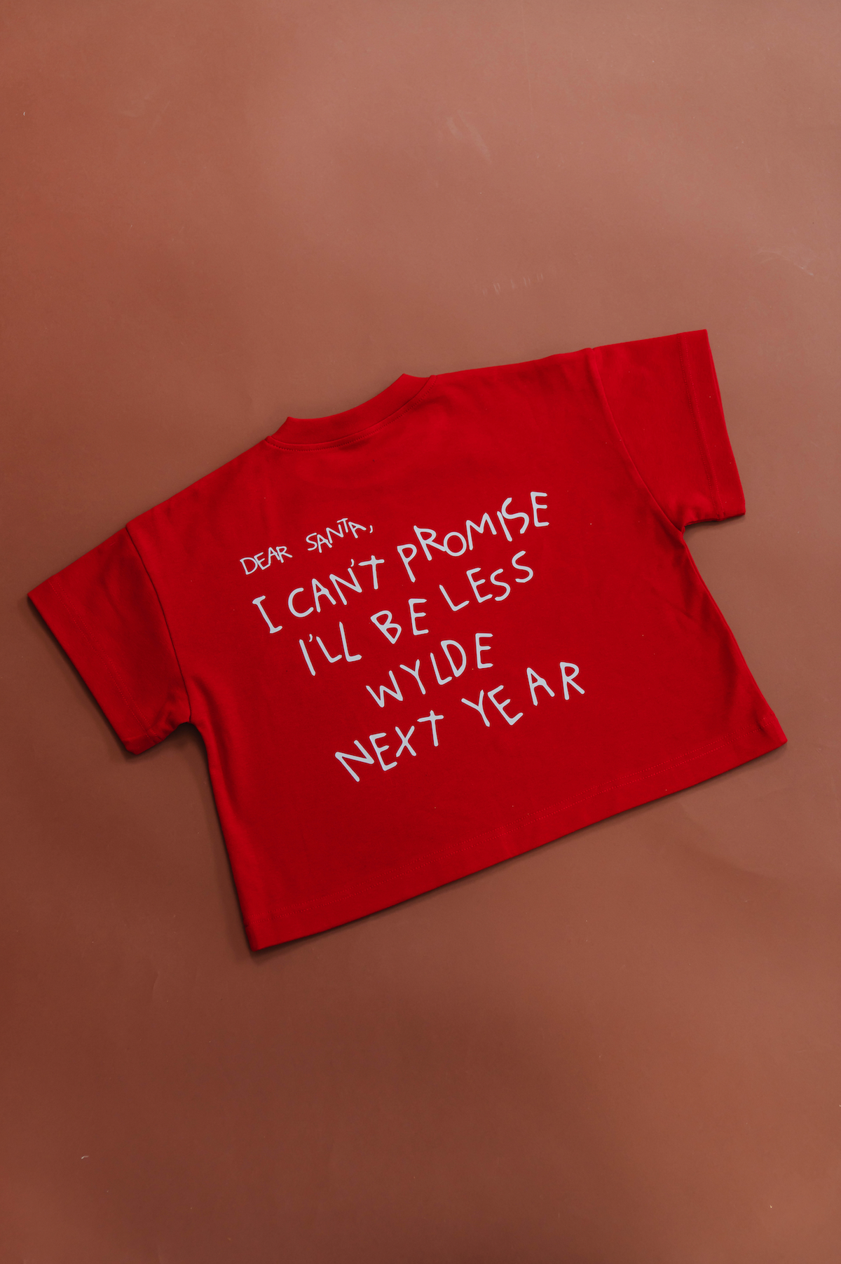 Dear Santa Tee (PRE ORDER)