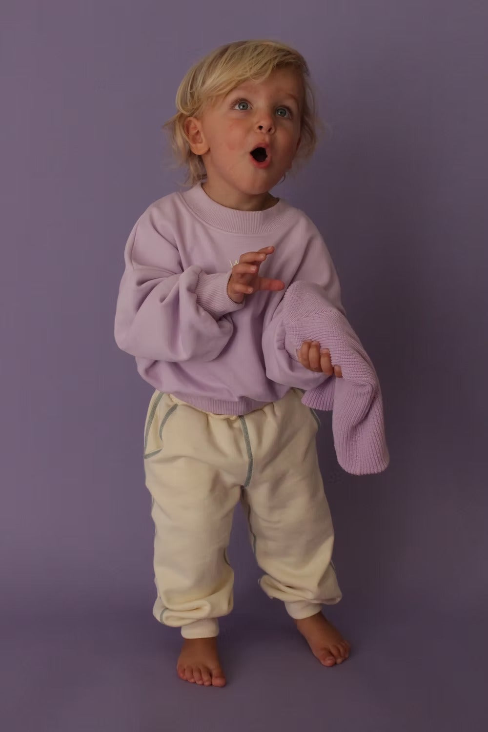 Berry Cloud Pullover